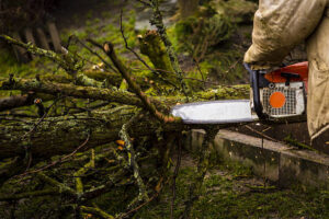 A worker cutting fallen tree branches with a chainsaw as part of tree service cleanup by West Coast Tree Care in San Jose, CA
