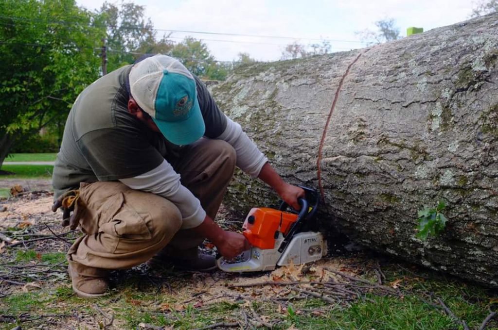 A worker cutting a large fallen tree trunk with a chainsaw for 20/20 Landscaping and Tree Service in Pittsburgh, PA.