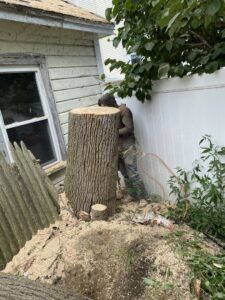 A worker in safety gear cutting a large tree trunk with a chainsaw for NN Landscaping, Construction & Tree Service in Lynn, MA