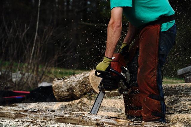A worker from American Tree Service, Inc. cutting a log with a chainsaw in Coventry, RI.