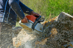 A worker cutting a large log with a chainsaw, a typical task performed by East Auburn Tree Service in Auburn, AL.