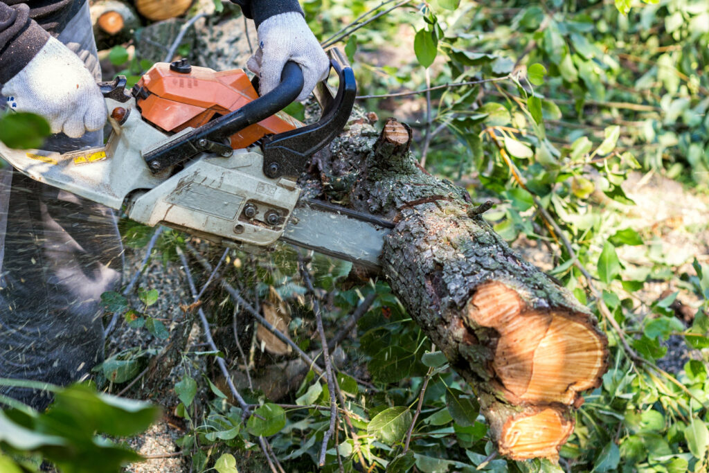 A worker in gloves using a chainsaw to cut a log, demonstrating wood processing by Tree Keepers LLC in Littleton, CO.