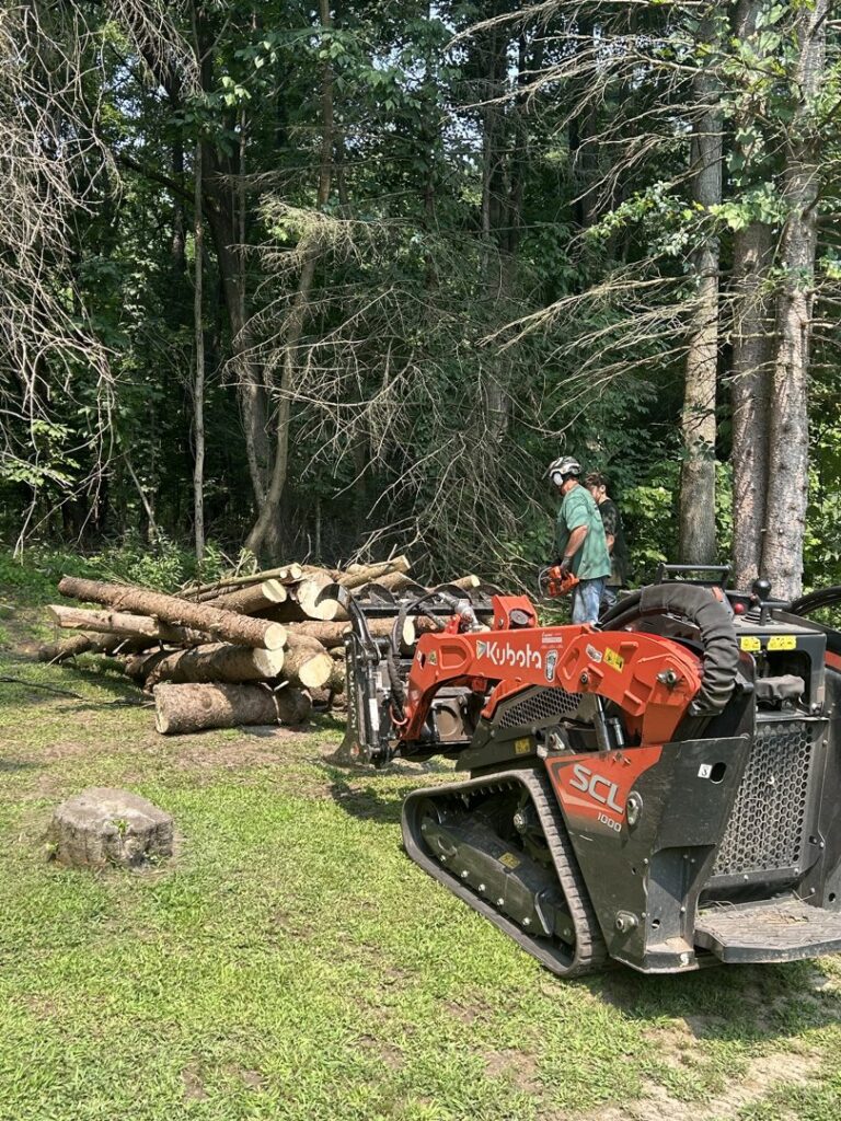 A tree service worker cutting logs with a chainsaw for Father and Son Tree Service in Lansing, MI.
