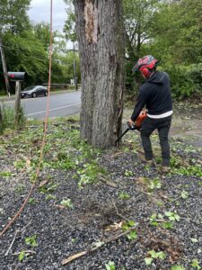 A worker in safety gear using a chainsaw to cut the base of a tree for removal by NN Landscaping, Construction & Tree Service in Lynn, MA.