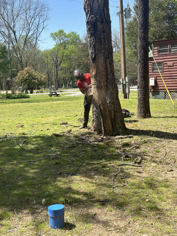 A tree service worker cutting a tree trunk with a chainsaw for Four Seasons Tree Service, LLC in Eufaula, OK