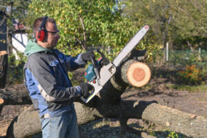 A worker cutting a tree trunk with a chainsaw, with freshly cut logs nearby, performed by West Coast Tree Care in San Jose, CA