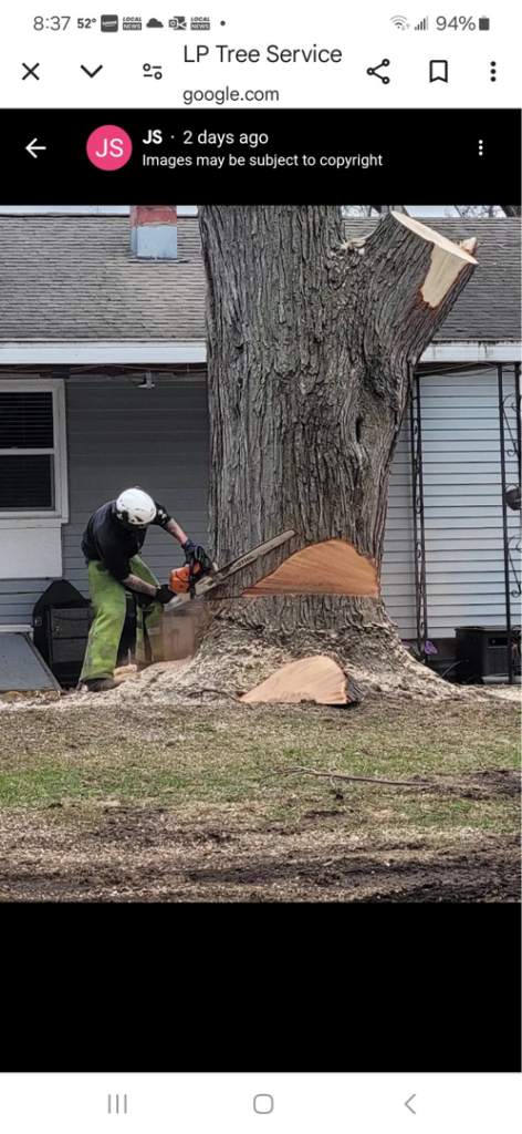 A skilled worker safely cutting a large tree trunk with a chainsaw for Lp Tree Service in Janesville, WI