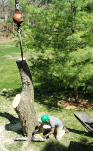A tree service worker using a chainsaw to cut a tree trunk, with a crane hook assisting, performed by Arbor Solutions Tree Service in Ann Arbor, MI.