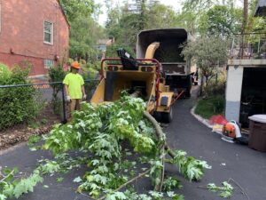 A worker feeding tree branches into a wood chipper for 20/20 Landscaping and Tree Service in Pittsburgh, PA.