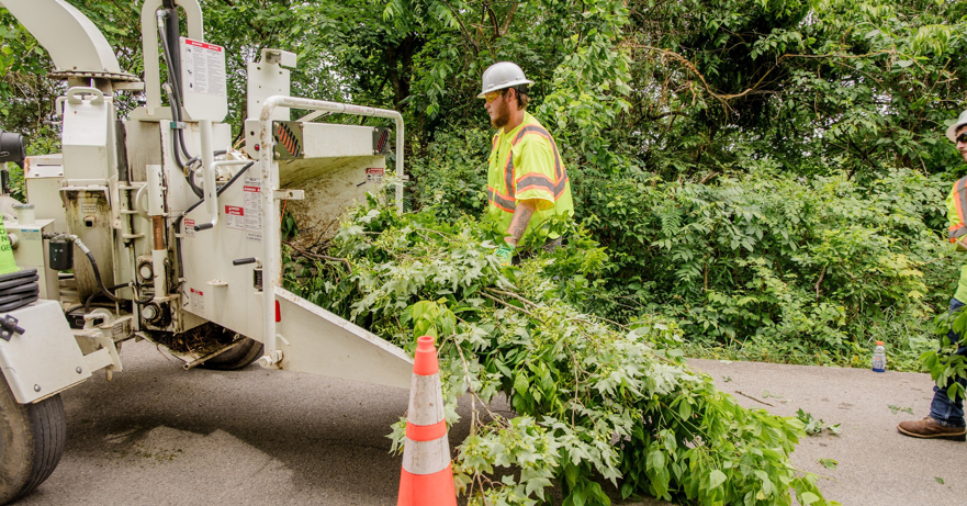 A tree service worker feeding branches into a wood chipper for Tree Care of New York in Alden, NY