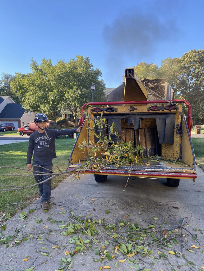 A tree service worker feeding branches into a wood chipper for cleanup by Ventura Tree Services in High Point, NC