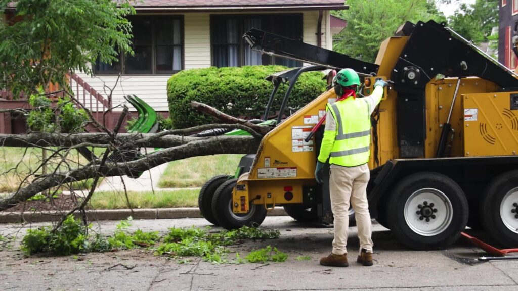 A Longtree Tree Service worker feeding branches into a wood chipper during cleanup in Southfield, MI.