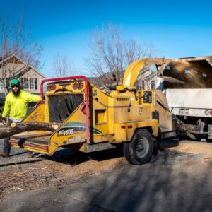 A worker feeding a log into a wood chipper, processing tree debris for All Wood's Tree Service in Ogden, UT.