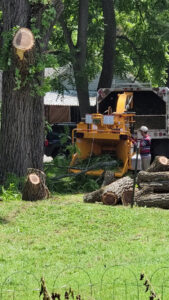 A worker feeding branches into a wood chipper during cleanup by G.O.'s Tree Service in Pittsburgh, PA