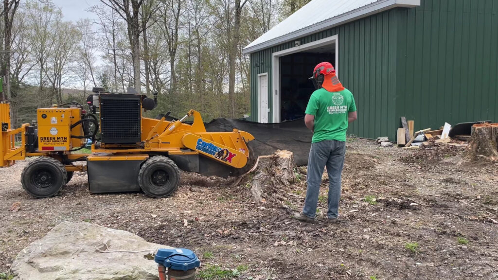 A worker from Green Mtn Stump Grinding operating a stump grinder near a building, performing tree service in Montpelier, VT.