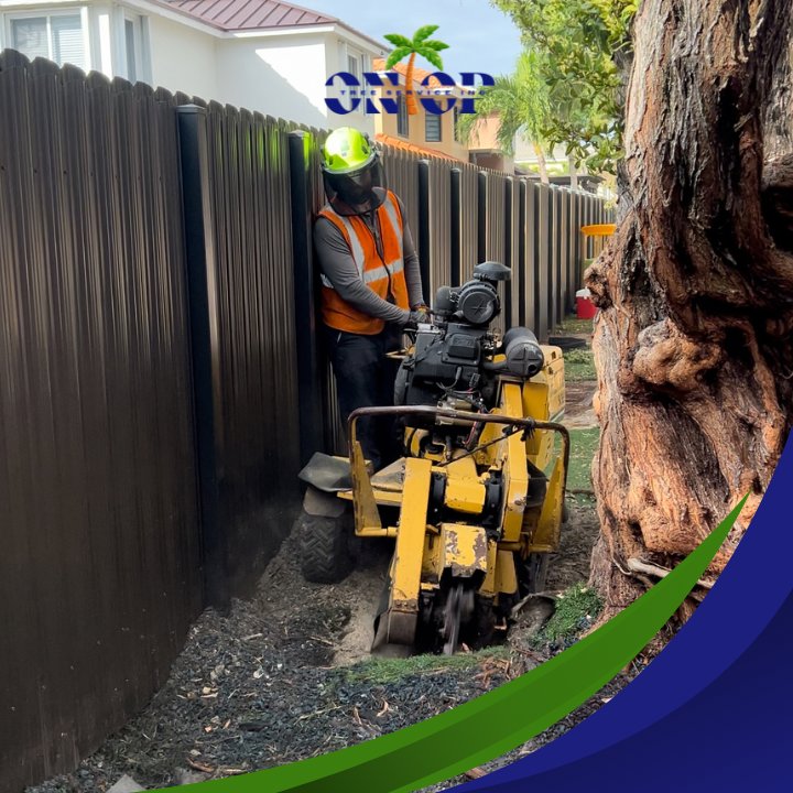 A worker operating a stump grinder near a fence and a tree trunk, performing stump removal for OnTop Tree Service in Miami, FL