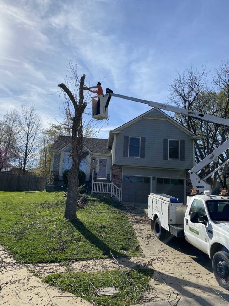 A tree service worker in a bucket lift cutting branches from a tree, with debris on the ground, by Affordable Treefellers in Shawnee, KS.