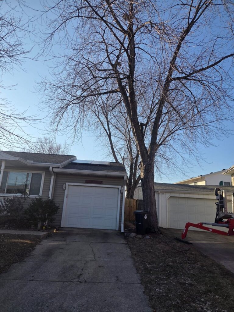 A tree service worker in a Teupen bucket lift trimming a tall tree for Aim To Tame tree service in Peoria, IL.