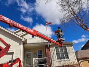 A worker in a Marv's Tree Service bucket lift trimming a tree near a residential home in Omaha, NE.