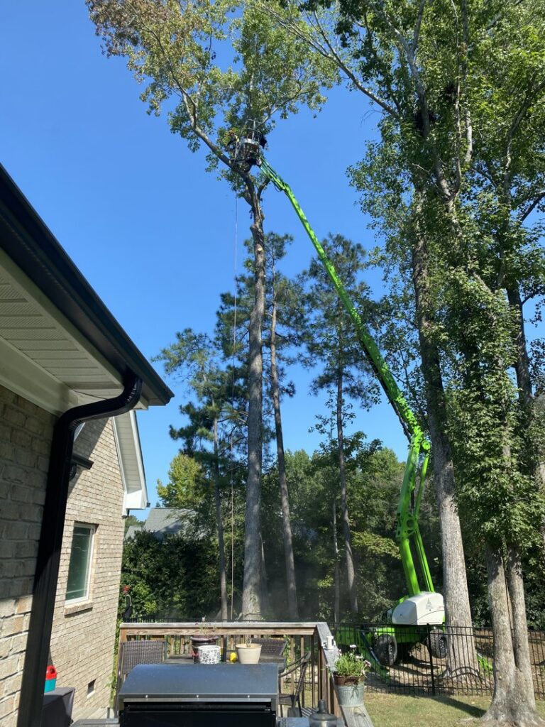 A worker in a bucket lift performing tree trimming services near a residential home, provided by Schnell Tree Services LLC in Fayetteville, NC.