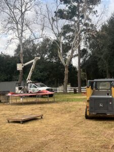 A KIRI TREE service worker in a bucket lift trimming a tree, with a skid steer on site, performing tree services in Austin, TX.