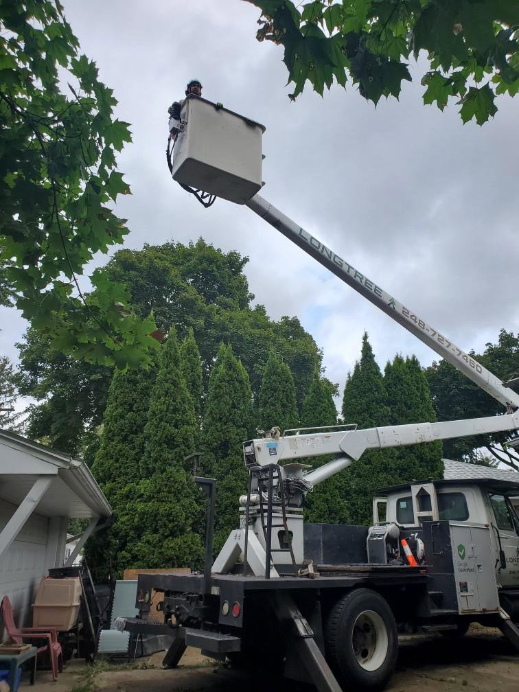 A Longtree Tree Service worker in a bucket truck performing tree work in Southfield, MI.