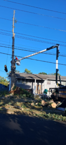 A worker in a bucket truck removing a tall tree near power lines for Odi Tree Service and Landscaping LLC in Lakewood, NJ.