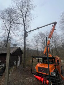 A worker in a bucket truck trimming a tall tree near a shed for Juarez Tree Service in Bawcomville, LA.