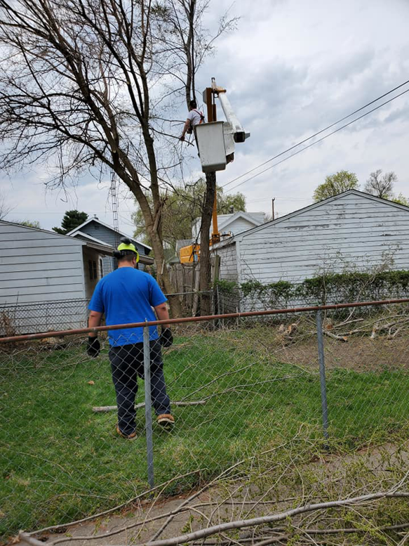 A worker in a bucket truck trimming a tree near a residential home by JT Tree Service & Removal in Toledo, OH.