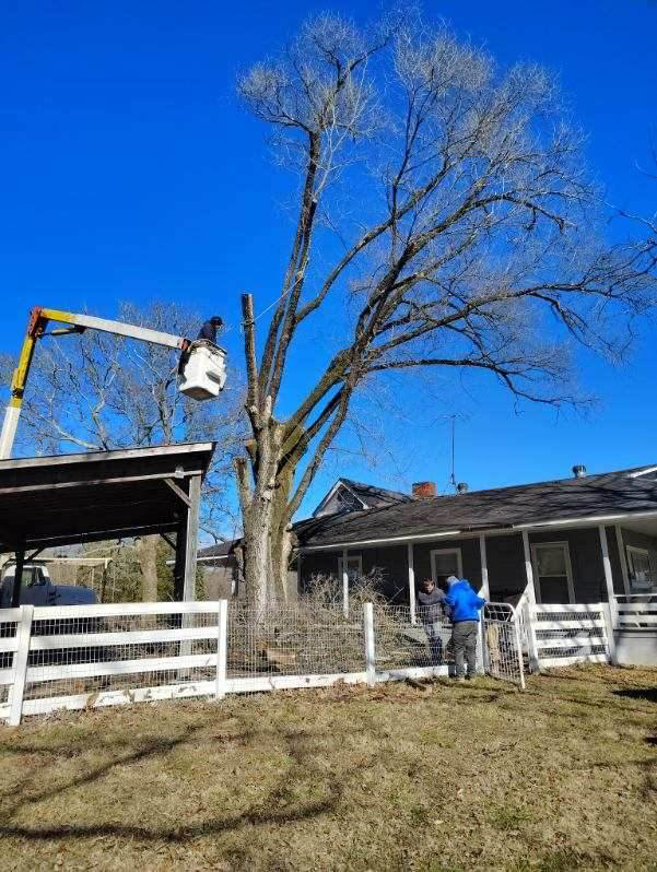A skilled worker in a bucket truck performing tree trimming services for Ortiz Tree Service in East Ridge, TN.