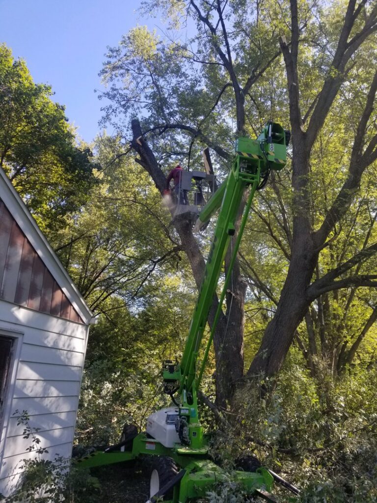 A worker in a lift high up in a tree, actively cutting branches during a tree service job by Zepeda,LLC tree and bush removal in Rockford, IL.
