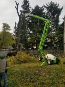 A worker in a green lift trimming a partially cut tree, demonstrating tree service work by Zepeda,LLC tree and bush removal in Rockford, IL.