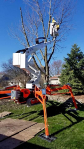 A worker in a spider lift trimming a bare tree for Dan's Tree Service, Inc. in New Berlin, WI.