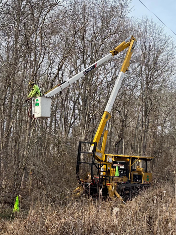 A Malec Tree Service worker in a tracked bucket lift clearing brush in a wooded area in Harrisville, RI