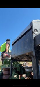 A richartehelps worker in a safety vest loading a large, heavy item onto a truck bed for junk removal in Scottsdale, AZ.