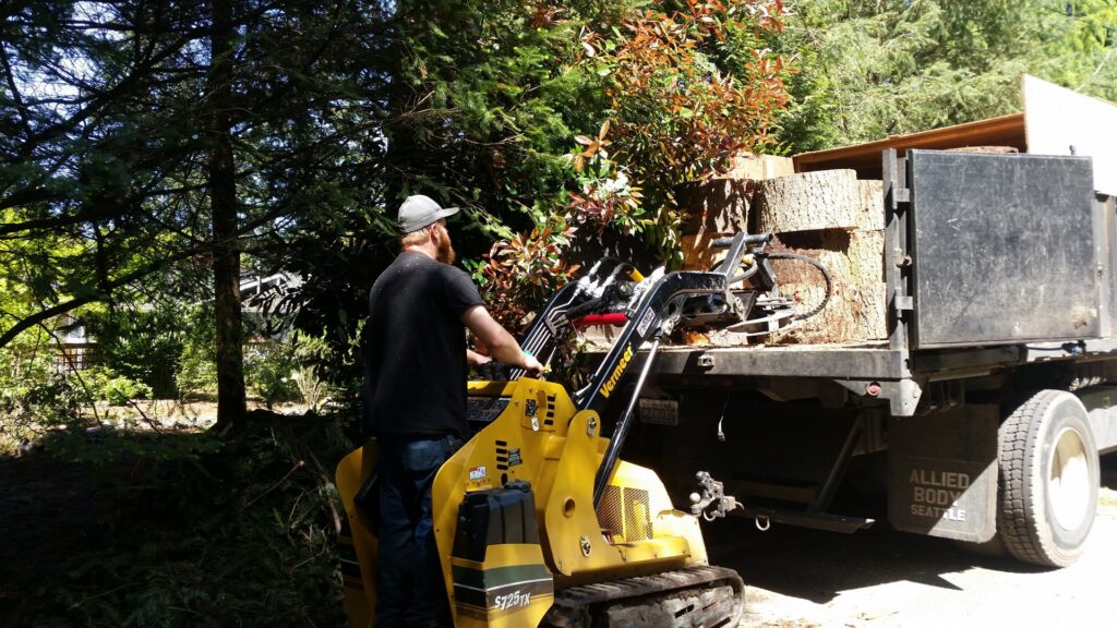 A worker from Haskins Tree Care in Bellevue, WA, operating a mini skid steer to load wood debris onto a truck.