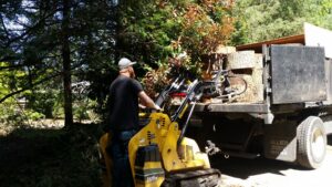 A worker from Haskins Tree Care in Bellevue, WA, operating a mini skid steer to load wood debris onto a truck.