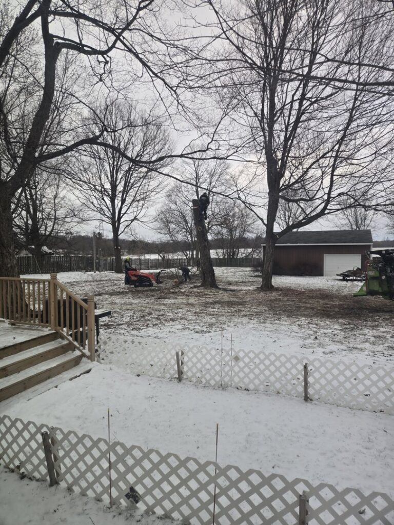 A tree service worker using a tractor with a grapple to move branches for Father and Son Tree Service in Lansing, MI.