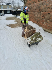 A tree service worker using a log dolly to move cut tree logs on a snowy driveway for Johnston's Tree Service in Owensboro, KY.