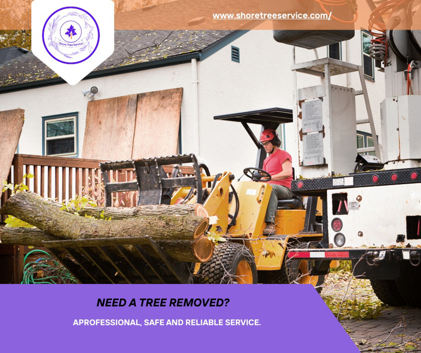A worker operating heavy machinery to move tree logs for Shore Tree Service in Quincy, MA.