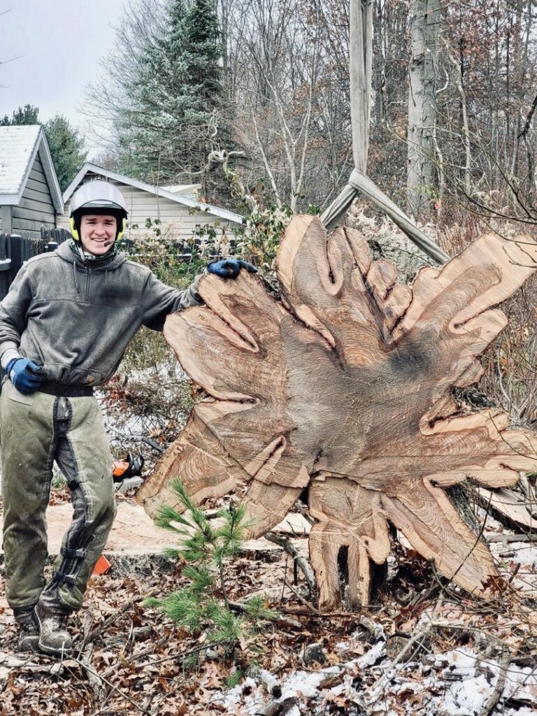 A tree service worker standing next to a large, intricate tree stump after a professional stump removal service by Kingdom Tree Company in North Canton, OH.