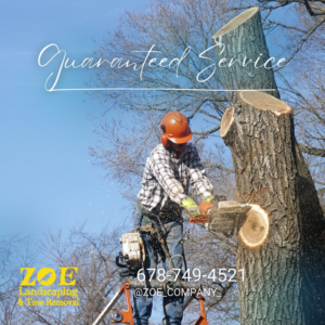 A worker on a ladder cutting a tree trunk with a chainsaw for ZOE Tree Service & landscaping in Alpharetta, GA