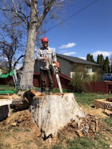 A tree service worker standing on a large tree stump with a chainsaw after a tree removal by DeMasters Tree Care LLC in Nampa, ID.