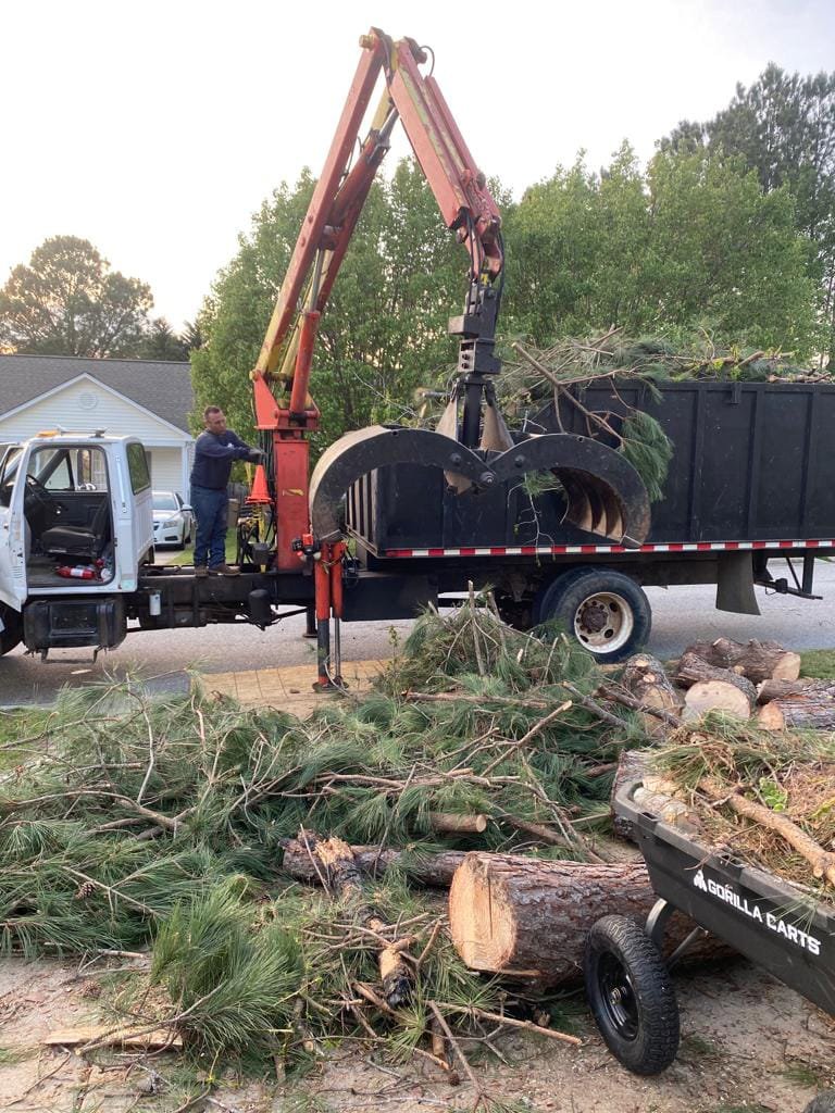 A worker operating a grapple truck, loading pine branches and logs into the truck bed for Tree & Debris Removal Service in Raleigh, NC.