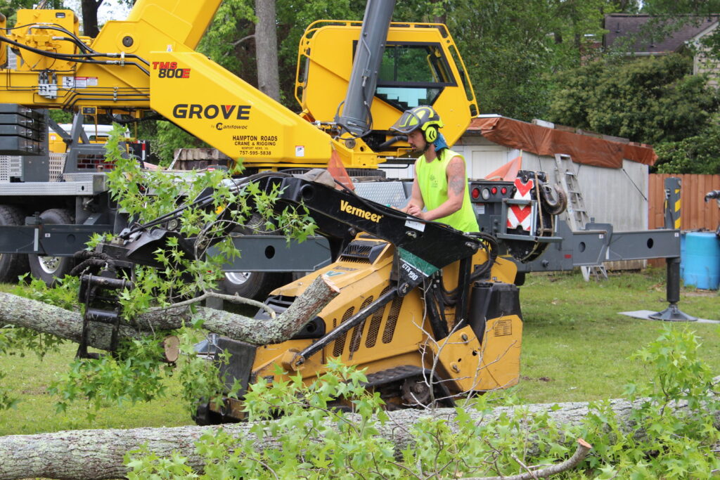 A tree service worker operating a Vermeer mini-skid steer with a grapple attachment, moving tree branches for Bayview Tree Service in Poquoson, VA.