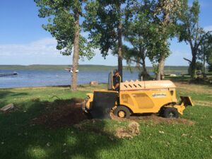 A worker operating a stump grinder to remove a tree stump near a lake for Anderton Tree Service in Fort Worth, TX