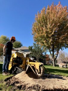 A tree service worker operating a stump grinder, performing professional stump removal for ArborMaster Tree Service Sioux Falls SD.