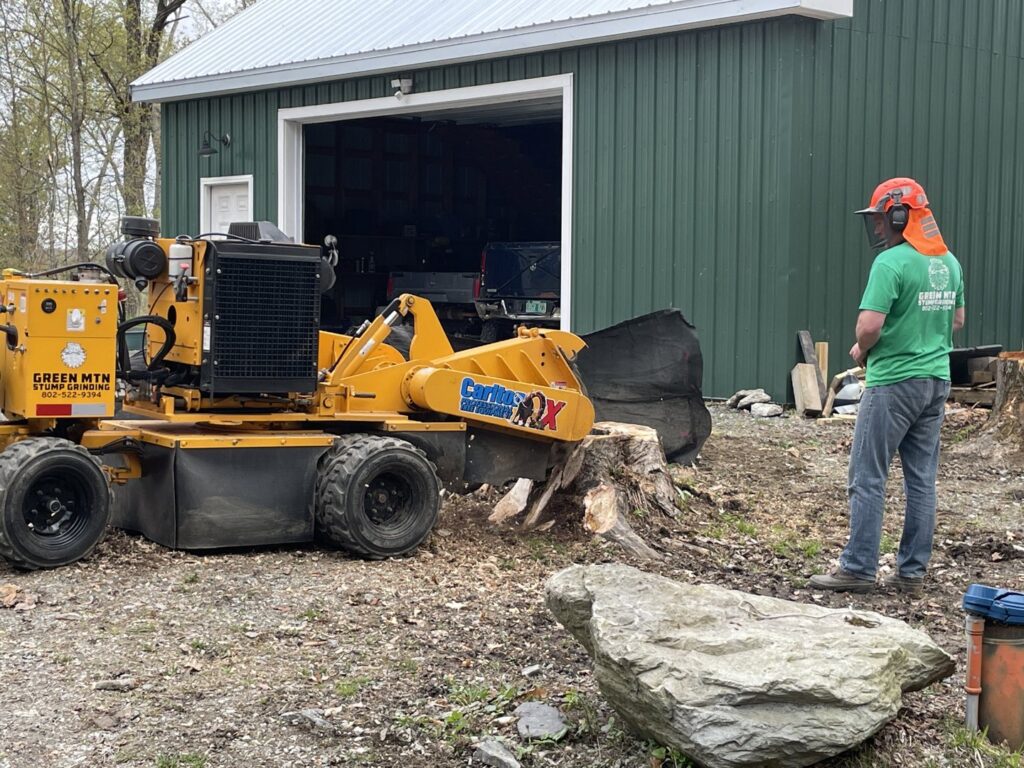 A skilled worker from Green Mtn Stump Grinding operating a stump grinder with safety gear in Montpelier, VT.