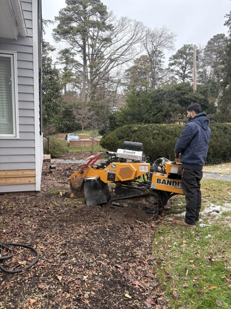 A tree service worker operating a stump grinder to remove a tree stump next to a residential house by Ernesto tree service & landscaping LLC in Richmond, VA.