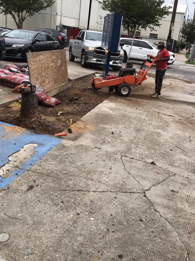 A worker operating a stump grinder to remove a tree stump for J.Pittman Services in New Orleans, LA.